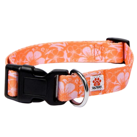 Saltrock - Hibiscus - Dog Collar