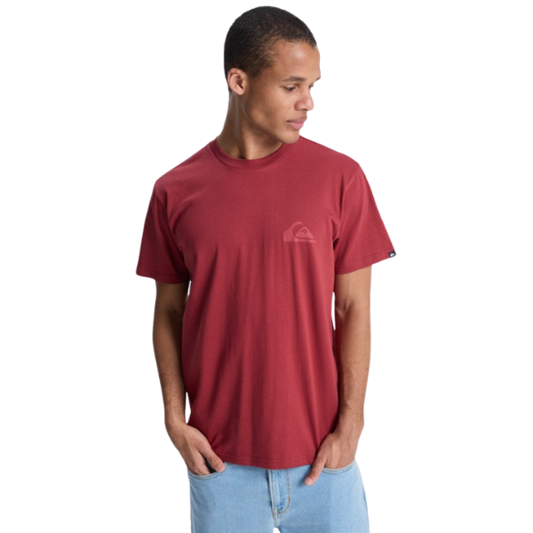 Quiksilver EV Mini Logo Tee